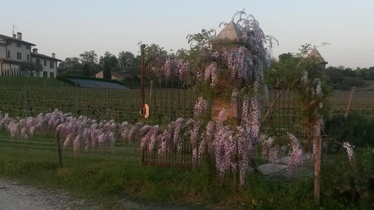 B&B Il Filo' Valeggio sul Mincio Exterior foto